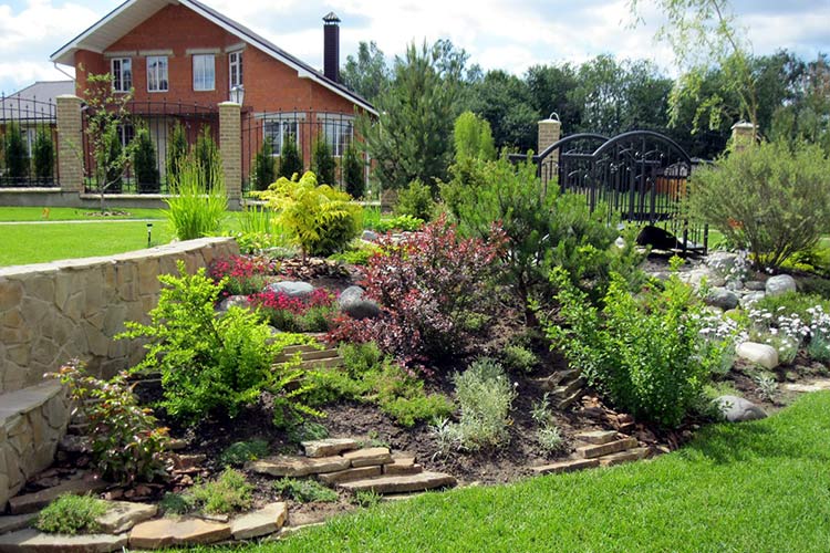 Устройство альпинария Устройство альпинария